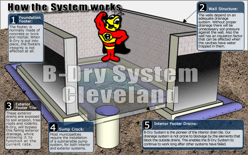 Basement Waterproofing B Dry System Cleveland Facts